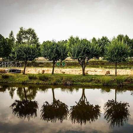 Helenowka Agro & Komorow (Ostrzeszow)