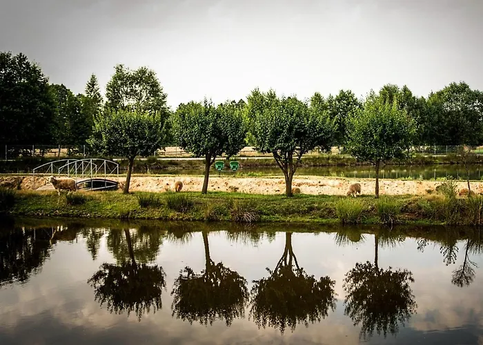 Helenowka Agro & Komorow (Ostrzeszow)